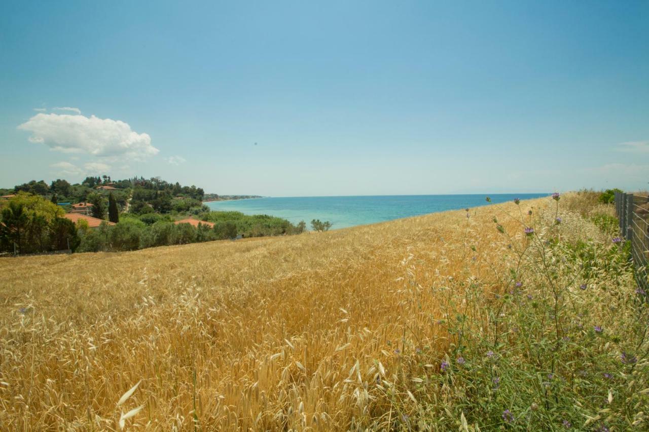 Magnificent Seascape Villa On A Secluded Beach Nea Moudania Bagian luar foto