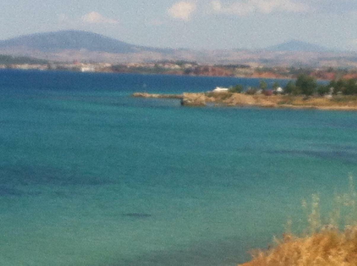 Magnificent Seascape Villa On A Secluded Beach Nea Moudania Bagian luar foto