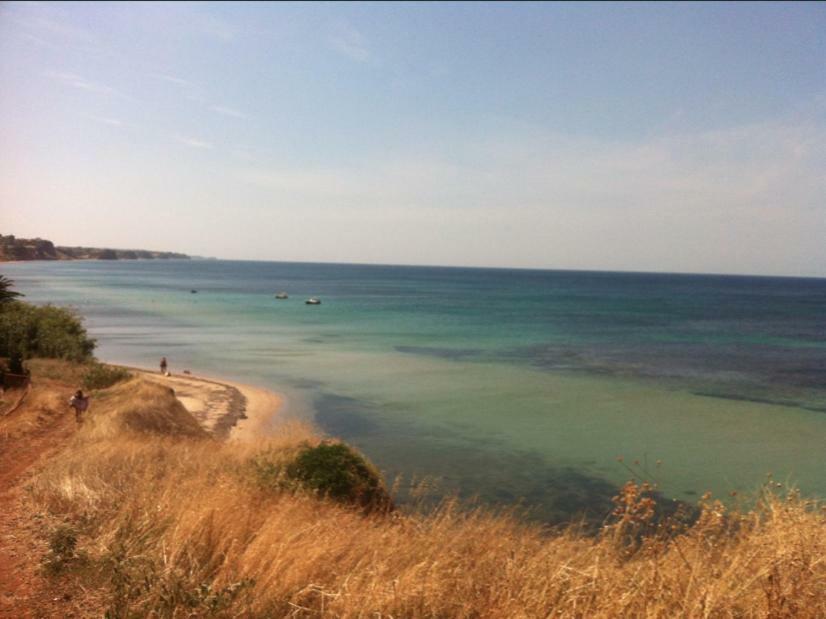 Magnificent Seascape Villa On A Secluded Beach Nea Moudania Bagian luar foto