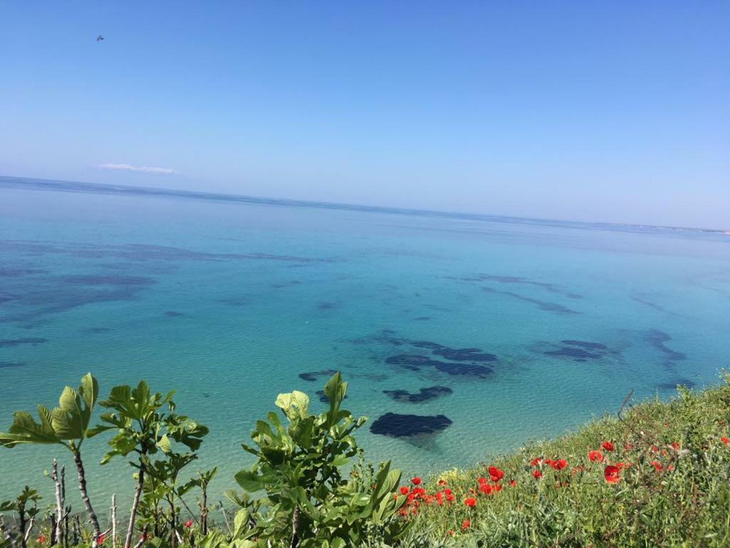 Magnificent Seascape Villa On A Secluded Beach Nea Moudania Bagian luar foto